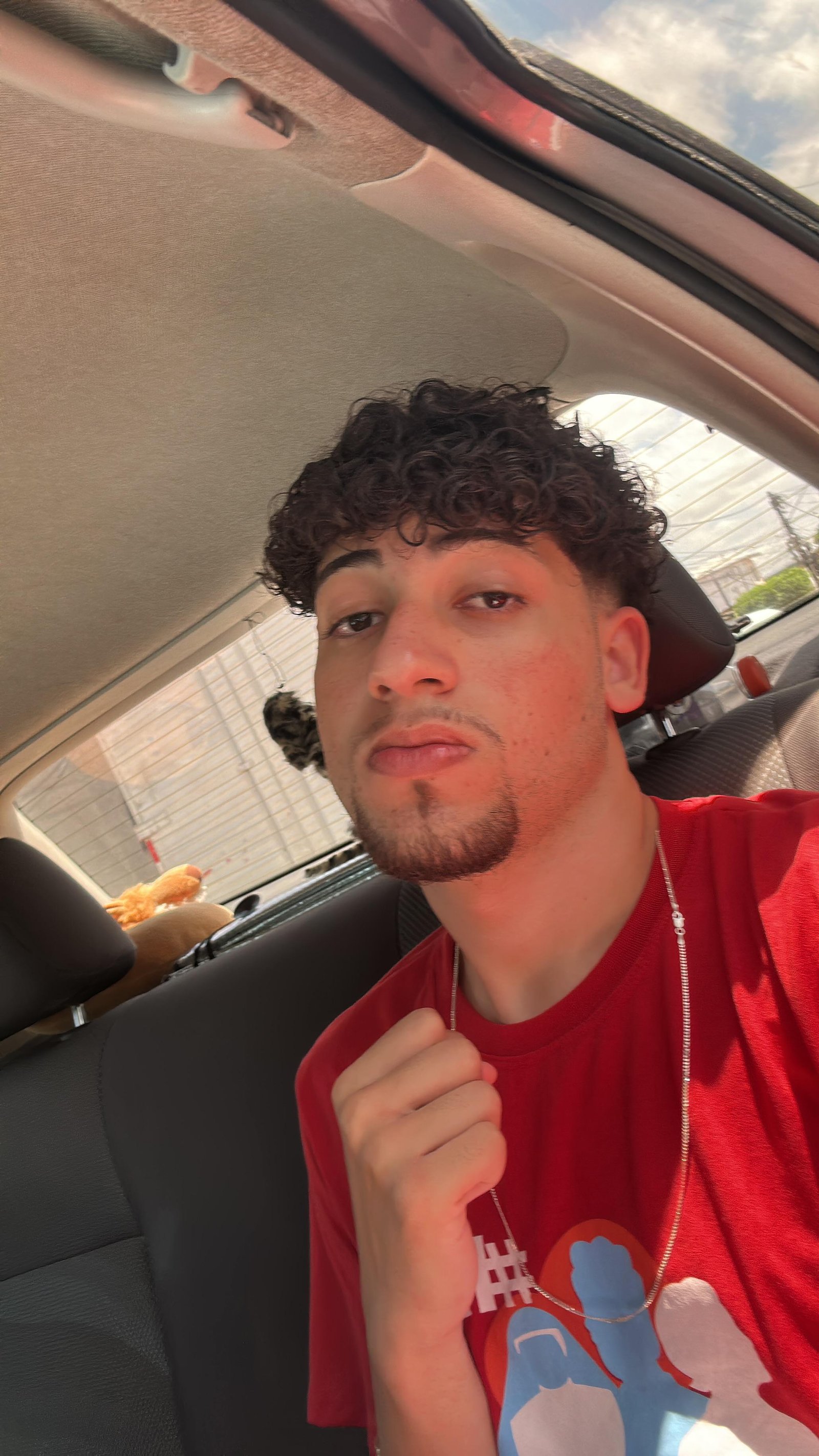 Elison Rodrigo Oliveira Brito