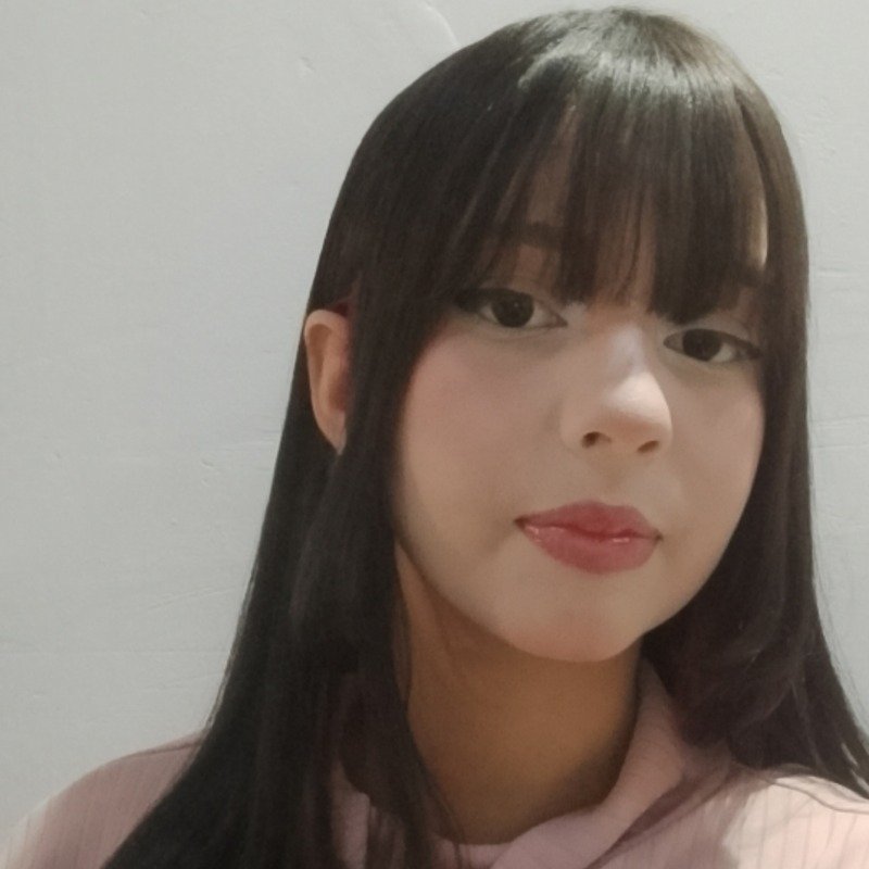 Willayne Larissa Alves da Silva