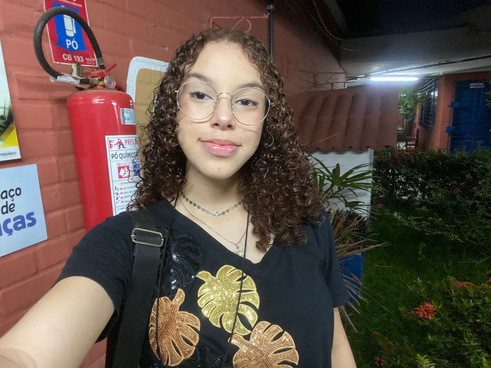 Maria Vitória Moreira Silva