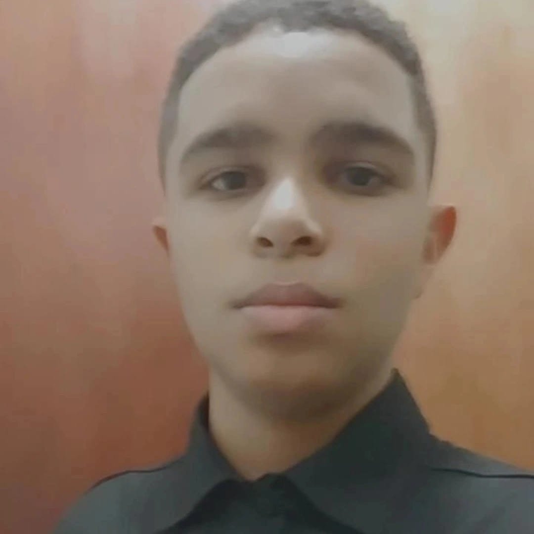Matheus Henrique Guedes Silva