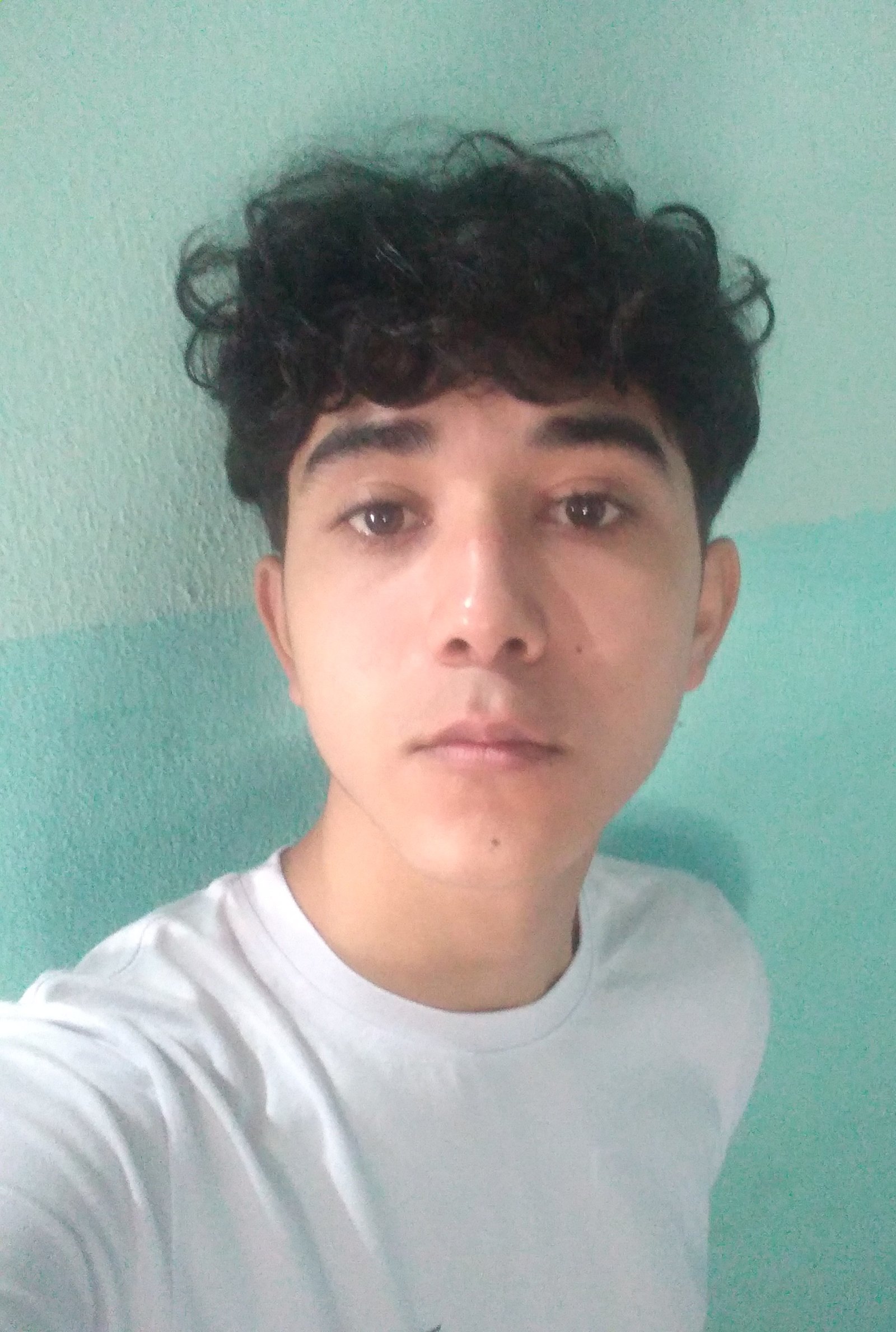 Pedro Henrique Barbosa da Silva