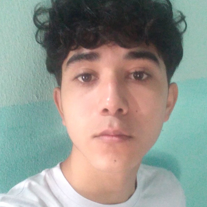 Pedro Henrique Barbosa da Silva