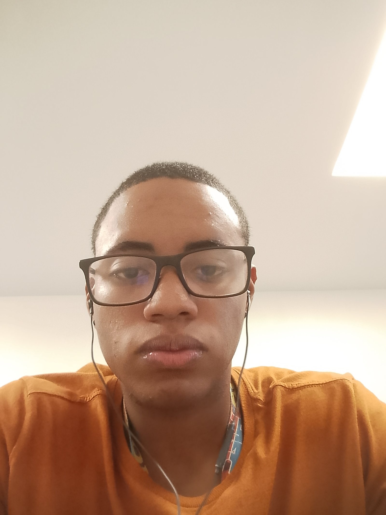Arthur Ribeiro da Silva Costa