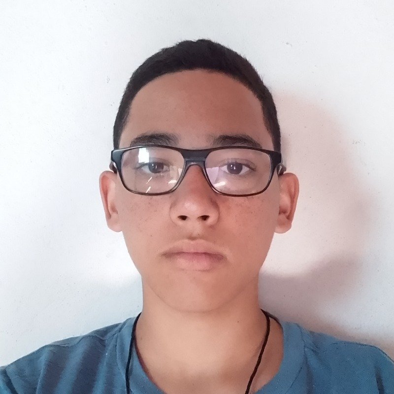 Pedro Henrique Pereira da Silva